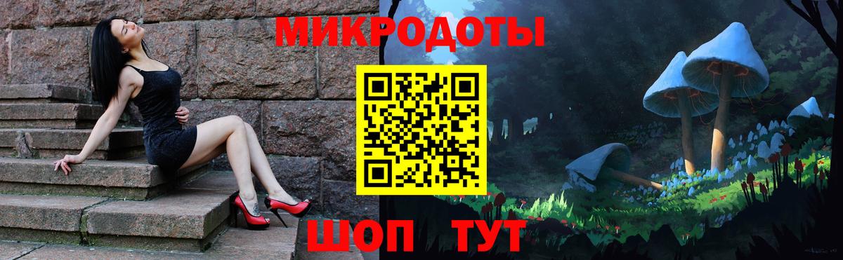 Псилоцибиновые грибы GOLDEN TEACHER  Вход с VPN  что такое   Сосновоборск 