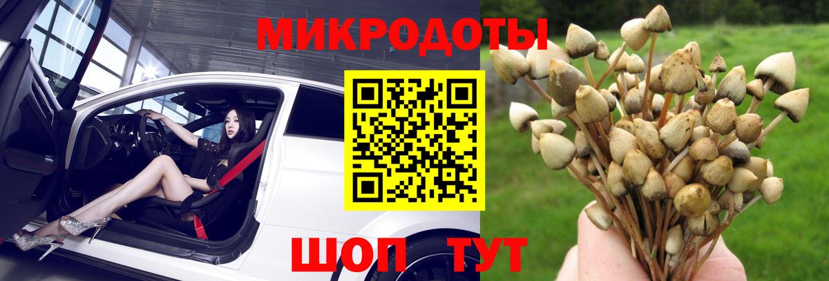 Псилоцибиновые грибы прущие грибы Сосновоборск